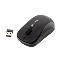 Anitech MW411(Wireless Mouse)